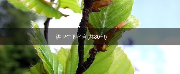 讲卫生的名言(共80句),第1张 讲卫生的名言(共80句),第1张