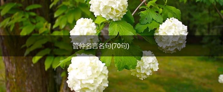 管仲名言名句(70句),第1张