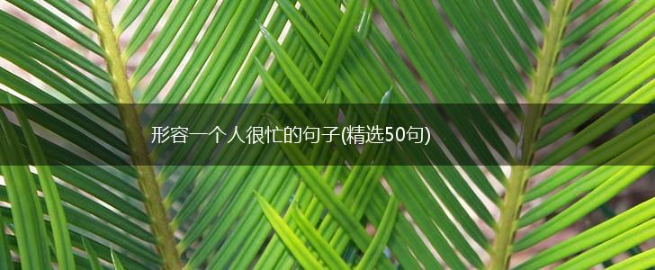 形容一个人很忙的句子(精选50句),第1张
