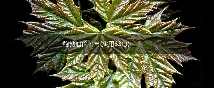 鲍勃迪伦名言(实用63句),第1张
