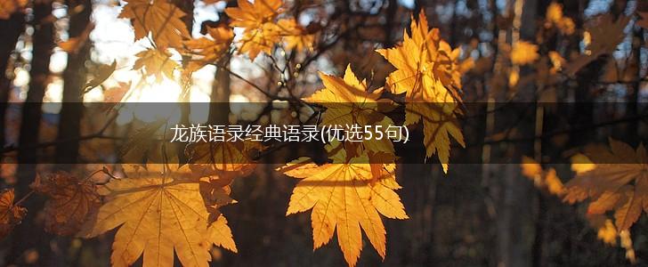 龙族语录经典语录(优选55句),第1张