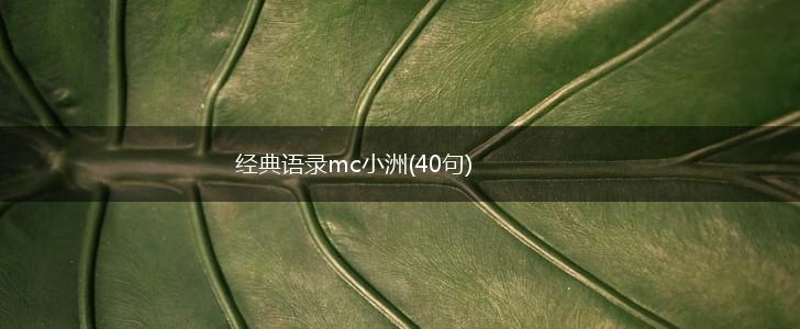 经典语录mc小洲(40句),第1张