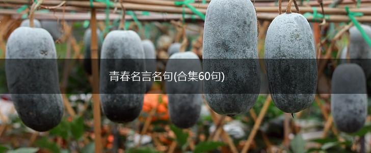 青春名言名句(合集60句),第1张