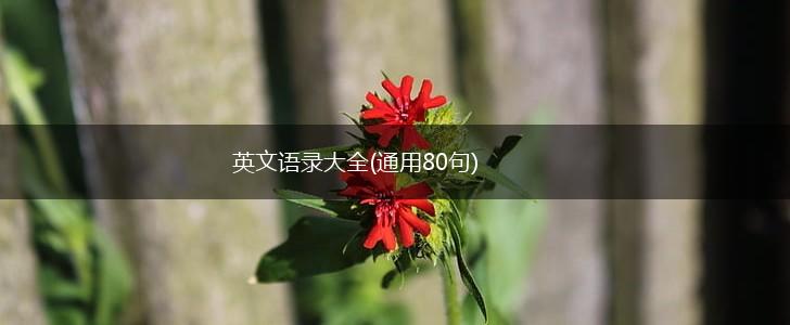 英文语录大全(通用80句),第1张