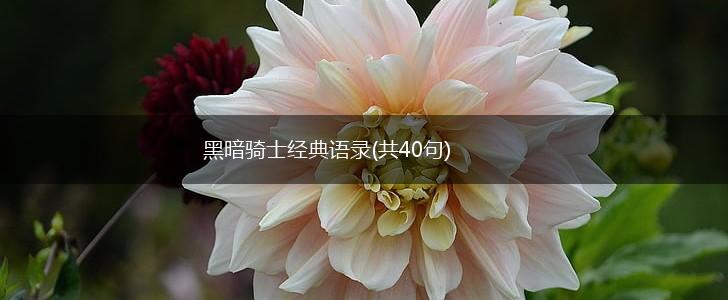 黑暗骑士经典语录(共40句),第1张