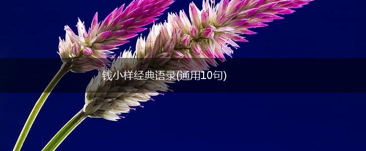 钱小样经典语录(通用10句),第1张