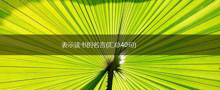 表示读书的名言(汇总40句),第1张