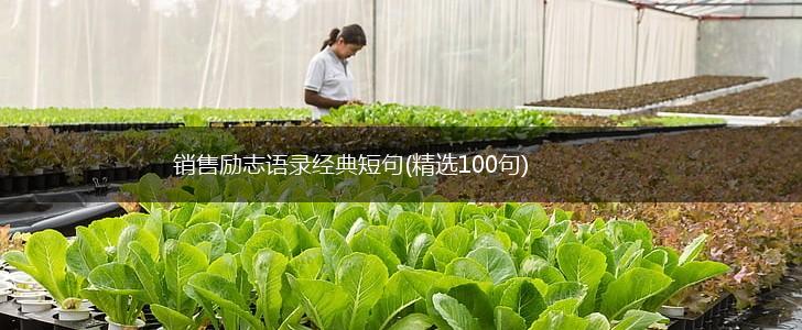 销售励志语录经典短句(精选100句),第1张