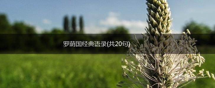 罗荫国经典语录(共20句),第1张