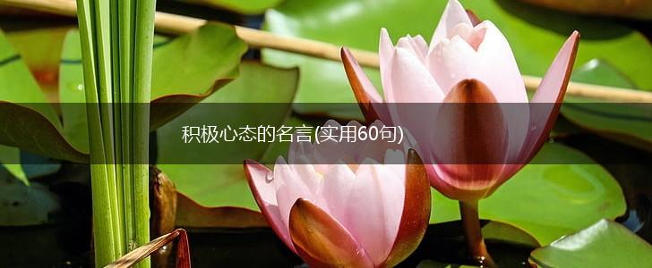 积极心态的名言(实用60句),第1张