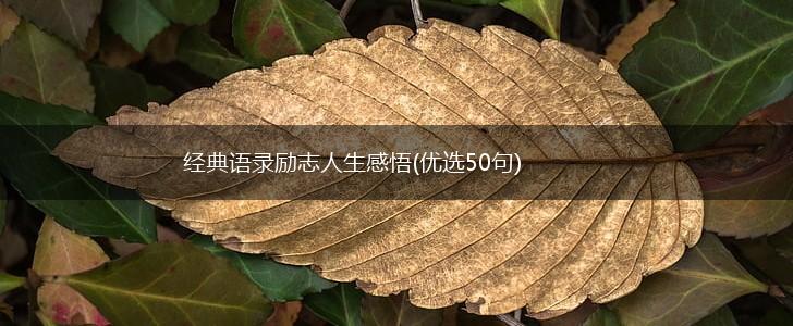 经典语录励志人生感悟(优选50句),第1张