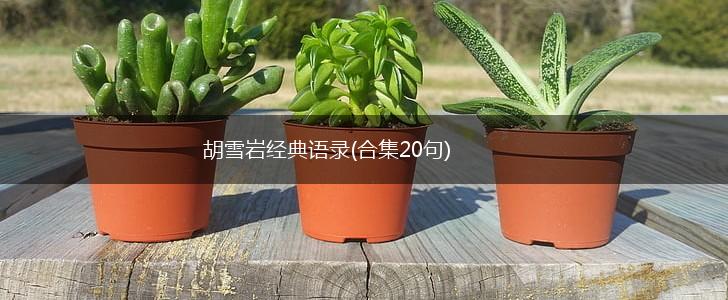 胡雪岩经典语录(合集20句),第1张