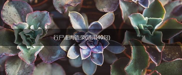 行尸走肉语录(通用40句),第1张