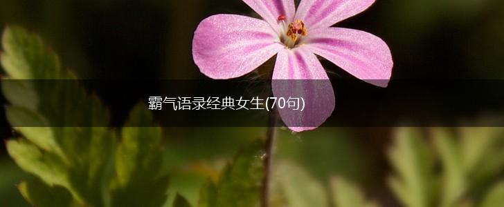 霸气语录经典女生(70句),第1张