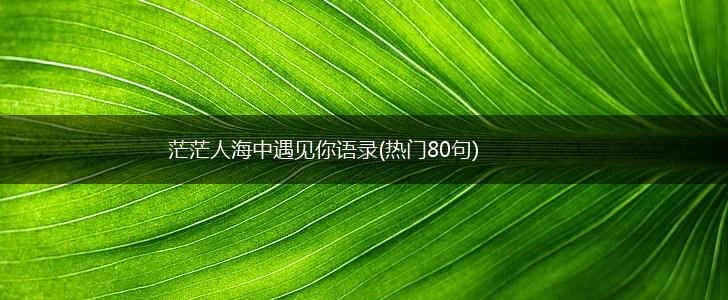 茫茫人海中遇见你语录(热门80句),第1张