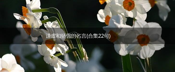 谦虚和骄傲的名言(合集22句),第1张 谦虚和骄傲的名言(合集22句),第1张