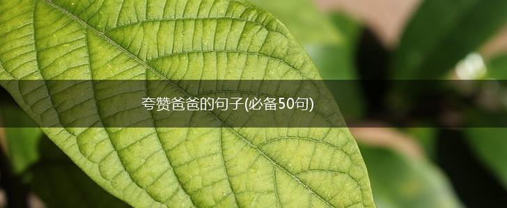 夸赞爸爸的句子(必备50句),第1张