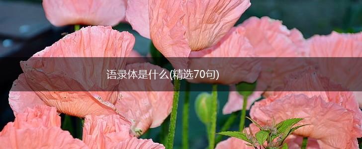 语录体是什么(精选70句),第1张