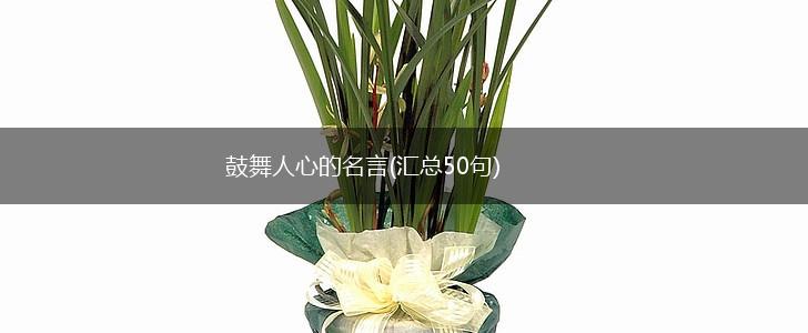 鼓舞人心的名言(汇总50句),第1张