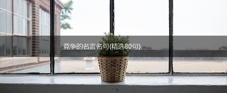 竞争的名言名句(精选80句),第1张