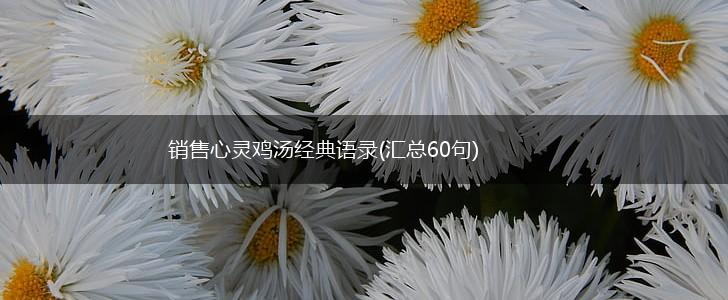 销售心灵鸡汤经典语录(汇总60句),第1张