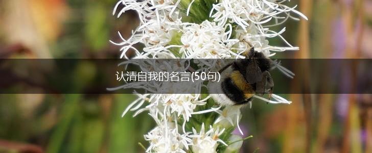 认清自我的名言(50句),第1张 认清自我的名言(50句),第1张