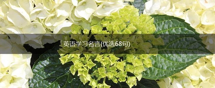 英语学习名言(优选68句),第1张 英语学习名言(优选68句),第1张