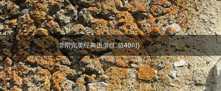 非常完美经典语录(汇总40句),第1张