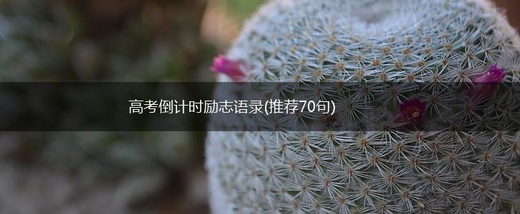 高考倒计时励志语录(推荐70句),第1张