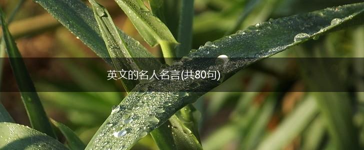 英文的名人名言(共80句),第1张 英文的名人名言(共80句),第1张