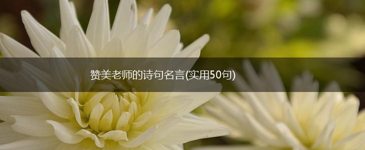 赞美老师的诗句名言(实用50句),第1张