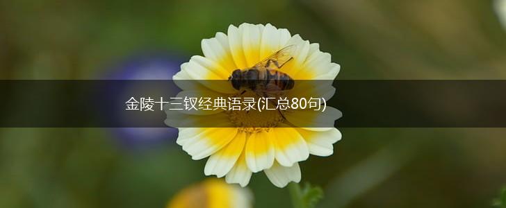 金陵十三钗经典语录(汇总80句),第1张