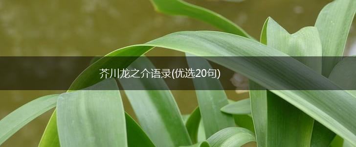 芥川龙之介语录(优选20句),第1张