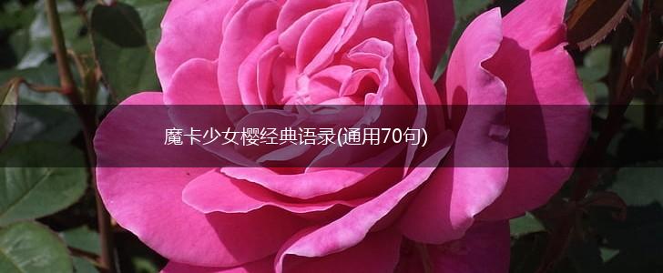 魔卡少女樱经典语录(通用70句),第1张
