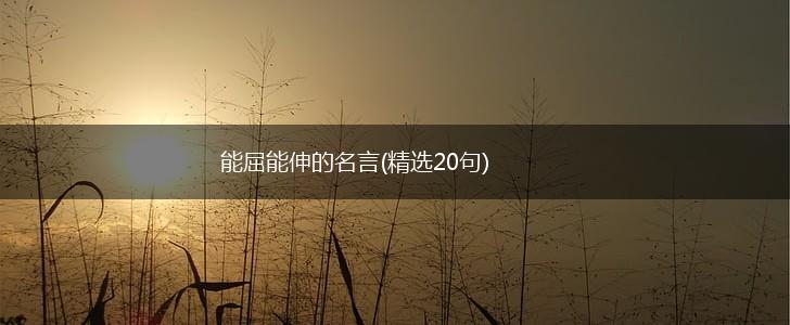能屈能伸的名言(精选20句),第1张