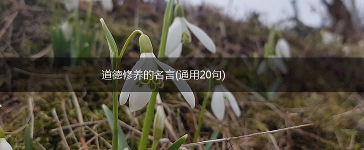 道德修养的名言(通用20句),第1张 道德修养的名言(通用20句),第1张
