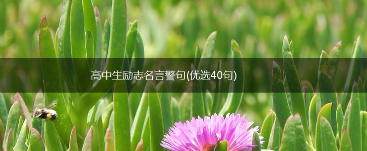 高中生励志名言警句(优选40句),第1张