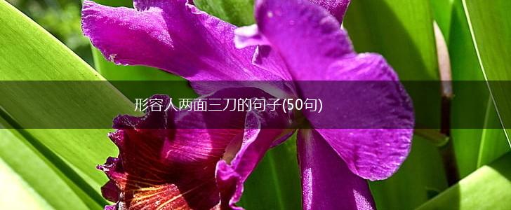 形容人两面三刀的句子(50句),第1张