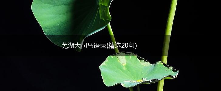 芜湖大司马语录(精选20句),第1张
