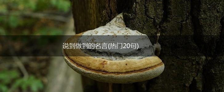 说到做到的名言(热门20句),第1张 说到做到的名言(热门20句),第1张