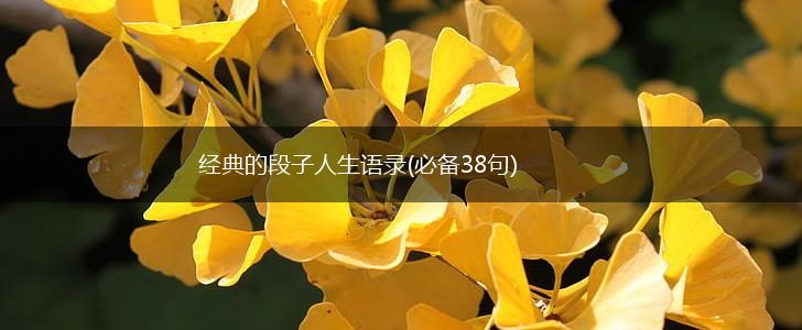 经典的段子人生语录(必备38句),第1张
