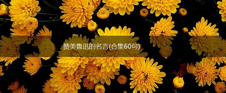 赞美鲁迅的名言(合集60句),第1张 赞美鲁迅的名言(合集60句),第1张