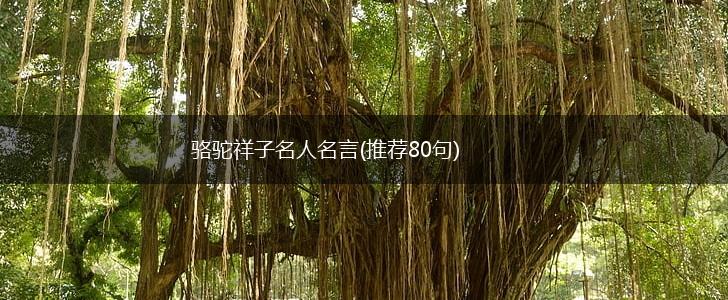 骆驼祥子名人名言(推荐80句),第1张