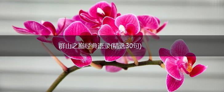 群山之巅经典语录(精选30句),第1张