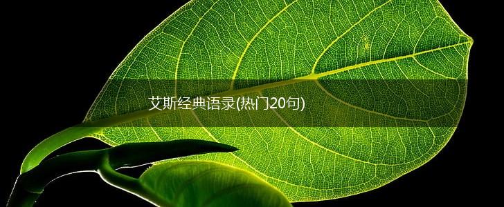 艾斯经典语录(热门20句),第1张