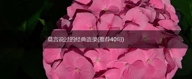莫言说过的经典语录(推荐40句),第1张
