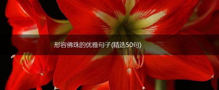 形容佛珠的优雅句子(精选50句),第1张