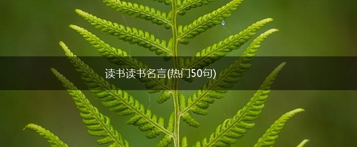 读书读书名言(热门50句),第1张