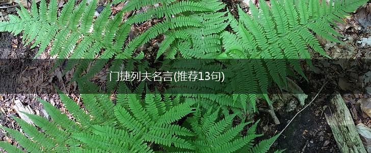 门捷列夫名言(推荐13句),第1张