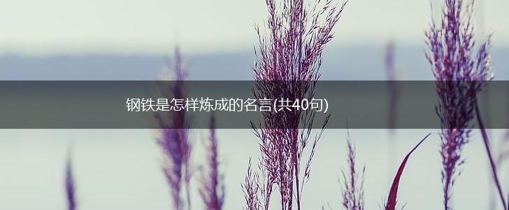 钢铁是怎样炼成的名言(共40句),第1张